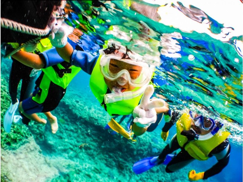 What is the price of Okinawa snorkeling tour? Introducing rental plans in descending order of price!