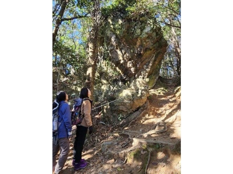 【湖西連峰トレッキング】専属ガイドがご案内☆撮影付き☆富士山や浜名湖を眺めながら楽しく爽快にハイキング！の紹介画像