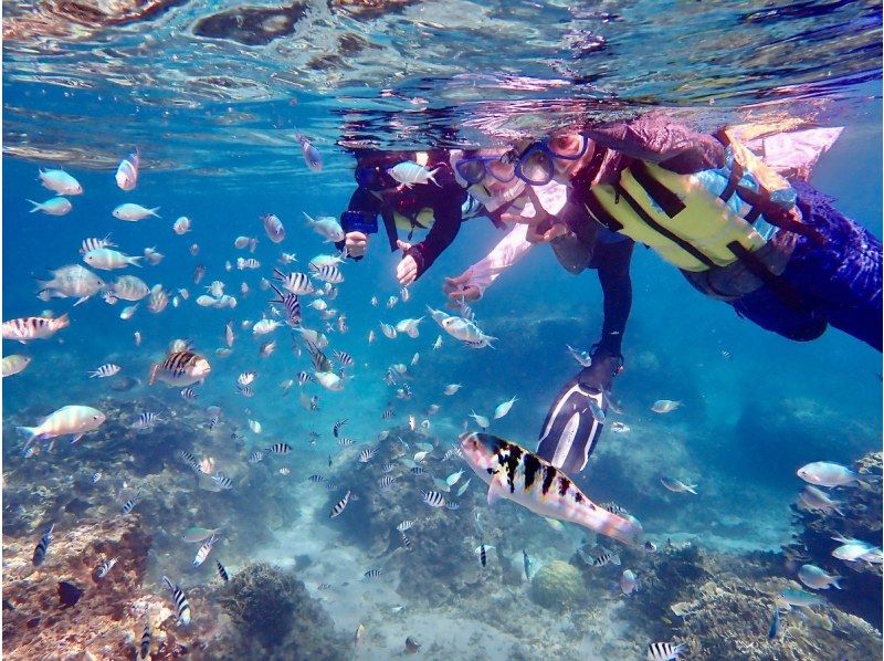 那覇からのアクセスも抜群！本島・南部(ジョン万ビーチ)で1組様限定の完全プライベートシュノーケリングツアー♪の紹介画像