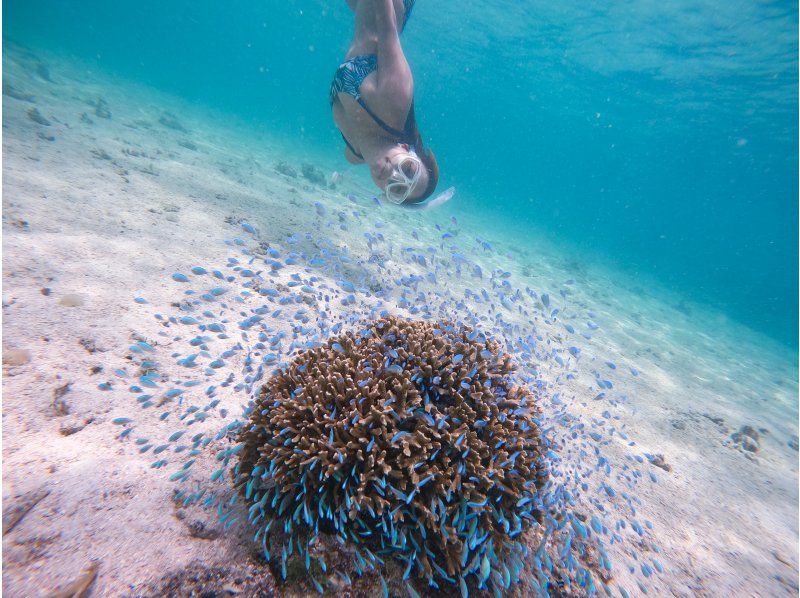 【沖縄・伊良部島】“スーパーサマーセール２０２４” 青の洞窟、海亀ボートツアー！シュノーケル・スキンダイビング初心者歓迎の紹介画像