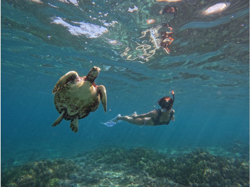 【沖縄・伊良部島】“スーパーサマーセール２０２４” 青の洞窟、海亀ボートツアー！シュノーケル・スキンダイビング初心者歓迎の紹介画像