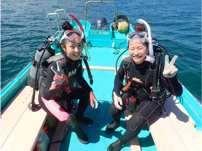 沖ノ島の神秘を探る！海底沈船と生物の楽園を巡るボートダイブの紹介画像