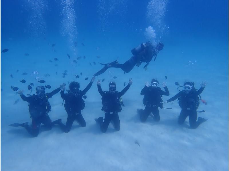 [Okinawa, Motobu Town] Swim even in the winter! Experience diving at Gorilla Chop Beach ♪ Free winter wetsuit rentals available, even for first-time scuba divers!の紹介画像