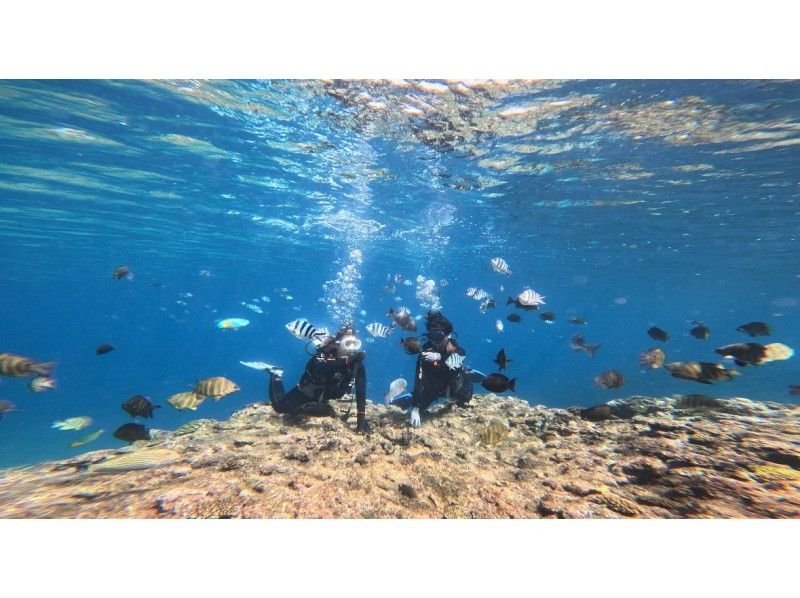 [Okinawa, Motobu Town] Swim even in the winter! Experience diving at Gorilla Chop Beach ♪ Free winter wetsuit rentals available, even for first-time scuba divers!の紹介画像