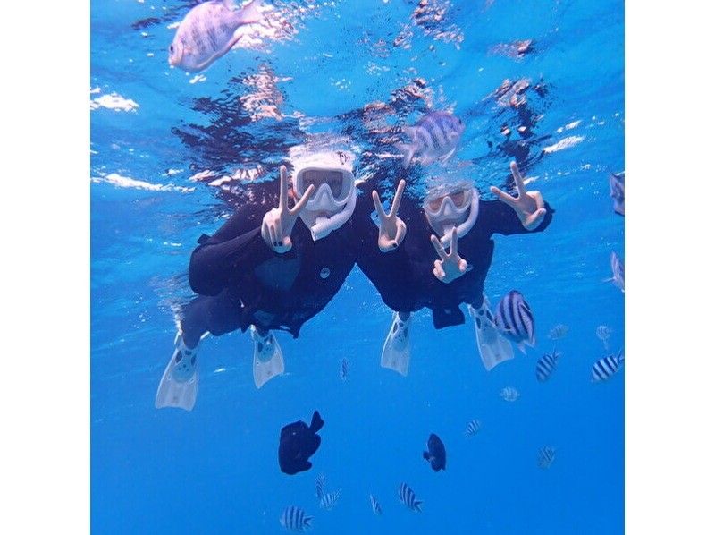 ★沖繩本部鎮大猩猩砍浮潛♪免費GoPro照片資料！推薦給女性、情侶和家庭！の紹介画像
