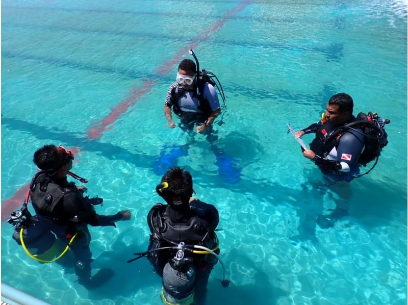 [Fukui / Minamiechizen Town] Afternoon plan! Half-day experience diving from 8 years old!