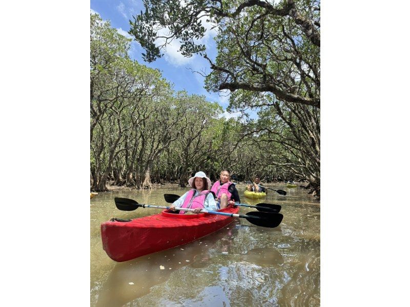 奄美大島【当日予約可能】マングローブカヌー＆ナイトツアー(180分)★ガイド付★【口コミ投稿で撮影データ無料】☆お1人様もお任せ下さい☆の紹介画像