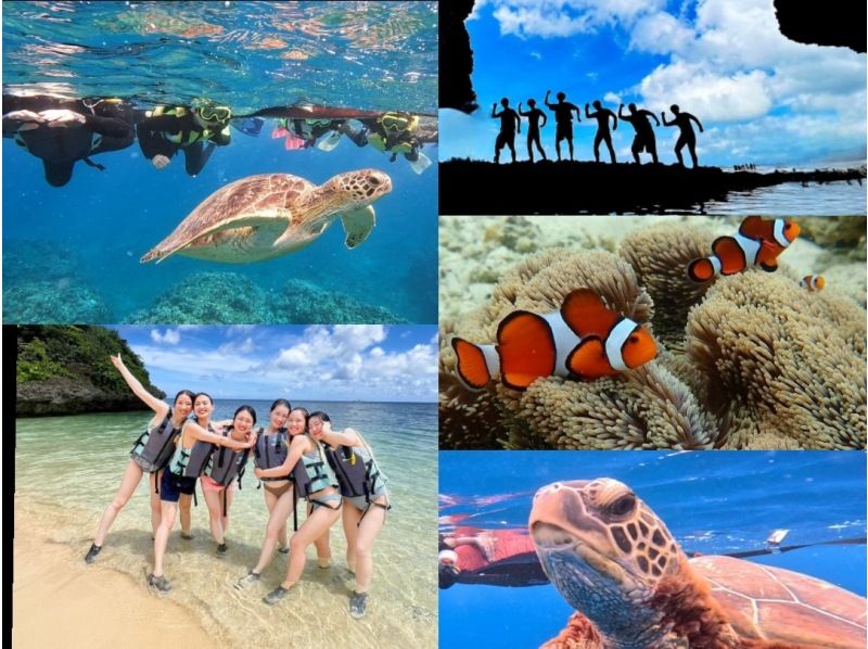 ★ウミガメ保証あり★【石垣島/2時間】安心の少人数制☆当日予約OK！青の洞窟シュノーケルツアーお子様からご年配の方まで安心!／撮影・送迎無料の紹介画像