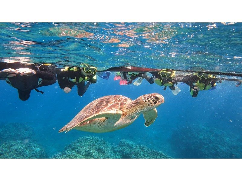 Super Summer Sale 2024 Last year, the chance of encountering sea turtles was 100%! Same-day reservations accepted! Blue cave exploration & sea turtle snorkeling - beginners welcome - free pick-up and drop-off, photosの紹介画像