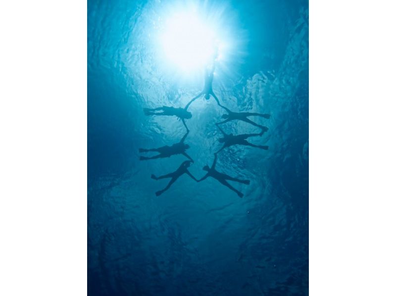 ★ウミガメ保証あり★【石垣島/2時間】安心の少人数制☆当日予約OK！青の洞窟シュノーケルツアーお子様からご年配の方まで安心!／撮影・送迎無料の紹介画像