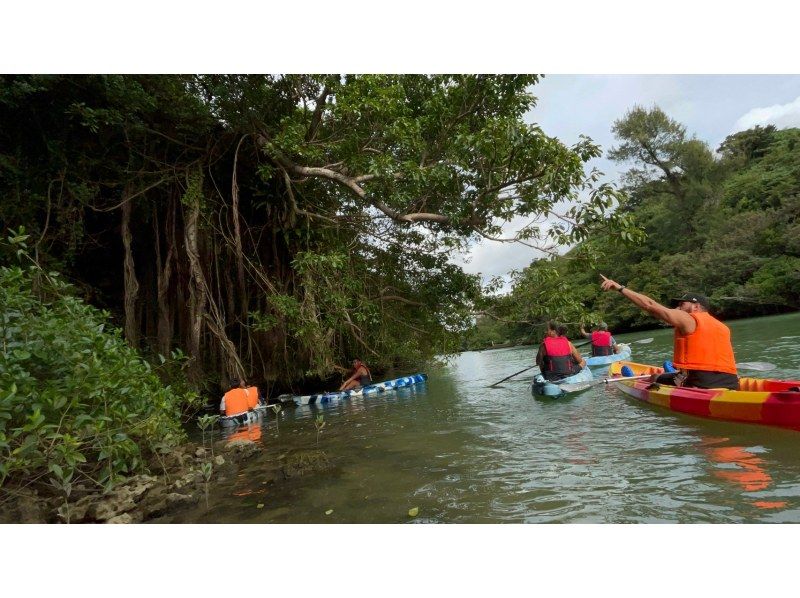 For groups of 4 or more! Mangrove Kayaking {Reservations accepted on the day, ages 2 and up allowed, free photo data, smartphone case rentals, hot showers}の紹介画像