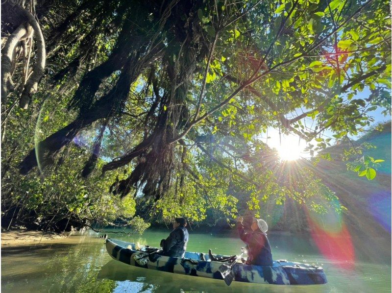 【4名様以上のご参加でお得に！】マングローブカヤック《当日予約OK・2歳参加可・撮影データ無料・ｽﾏﾎｹｰｽ貸出・温水シャワー》の紹介画像