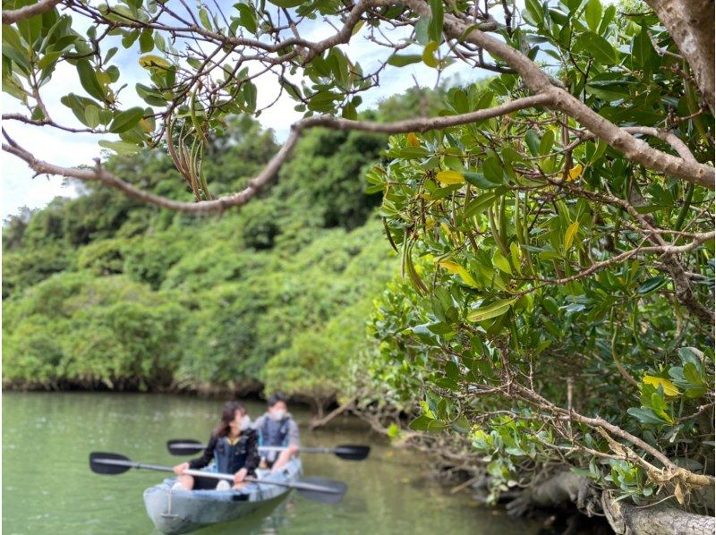 【4분 이상의 참가로 유익하게! 】 맹그로브 카약 << 당일 예약 OK &middot; 2 세 참가 가능 &middot; 촬영 데이터 무료 &middot; 스마코스 대출 &middot; 온수 샤워 >>の紹介画像