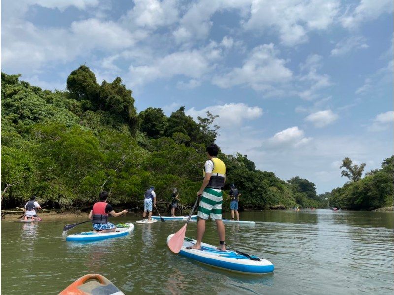 For groups of 4 or more! Mangrove SUP tour {Ages 6 and up can participate ◎・Free photo data・Free smartphone case rental・Hot shower available}の紹介画像