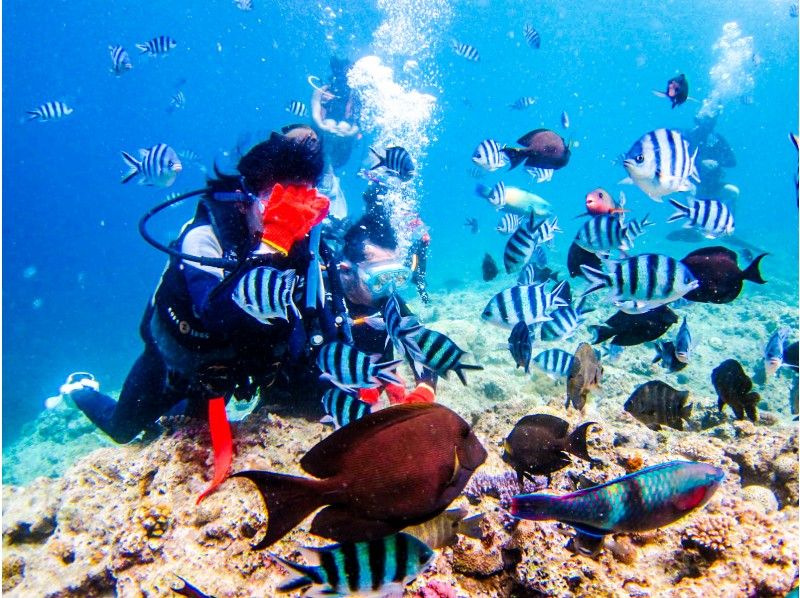 沖繩5個推薦潛水地點及初學者旅遊團人氣排名