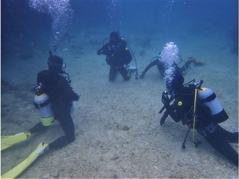 沖縄本島✨4時間×2日でダイビングライセンス取得✨PADIオープンウォーターダイバー✨１組貸切なのでそれぞれのペースで海が苦手な方も安心✨の紹介画像