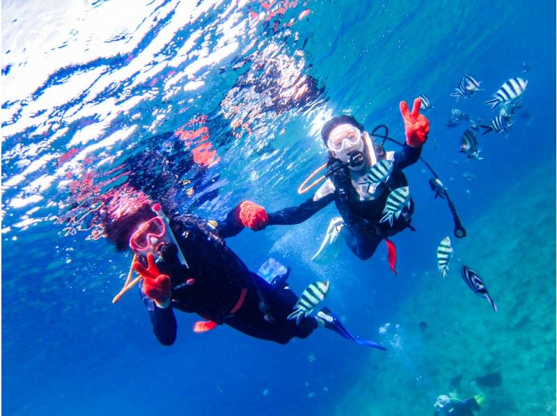 【沖繩藍洞】PADI執照取得課程【1天~】水下攝影&贈品の紹介画像