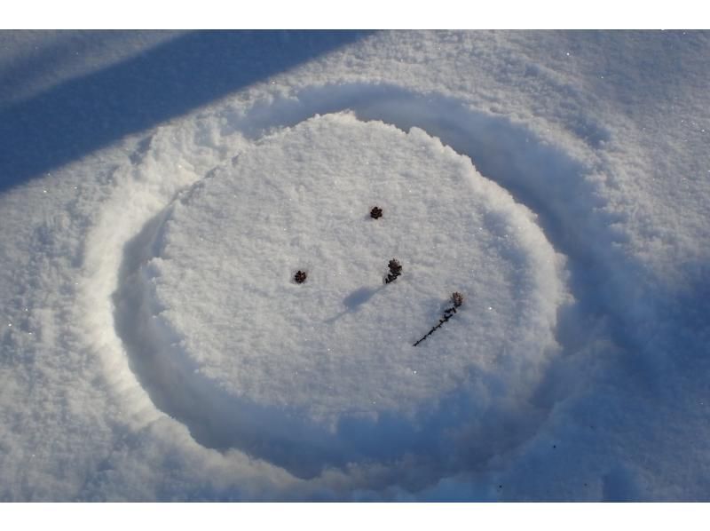 【北海道・道東】 冬のオホーツク・大空町でわくわくドキドキ氷結・結氷の湖と雪原でスノーシュ体験ツアー、送迎付きの紹介画像