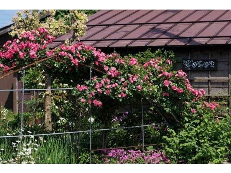 【新潟・上越】シルバーリング作り3〜4時間体験！ティータイム付★カップル、親子☆外国の方向け（前日まで予約可の紹介画像