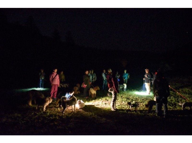 【栃木・那須板室】夜の森を愛犬とお散歩！ナイトツアー「わんだふるナイト」の紹介画像