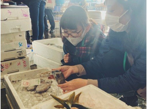 【香川・高松】新鮮な魚をプロから競落す！水産市場で摸擬セリ体験・お子様連れ歓迎！