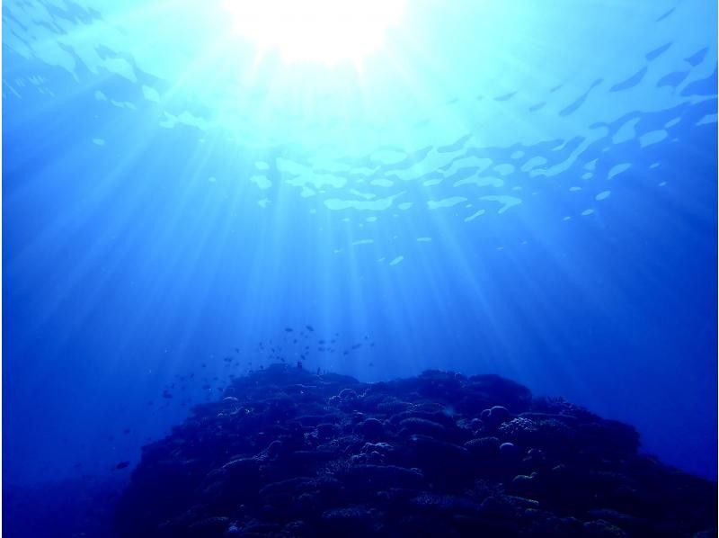 [恩納村萬座毛體驗船潛2 From Dive]工作人員推薦的秘密地點✨放鬆和感動的潛水體驗✨任意數量的照片和視頻都是免費的の紹介画像