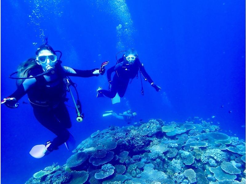 [恩纳村万座毛体验船潜2 From Dive]工作人员推荐的秘密地点✨放松和感动的潜水体验✨任意数量的照片和视频都是免费的の紹介画像