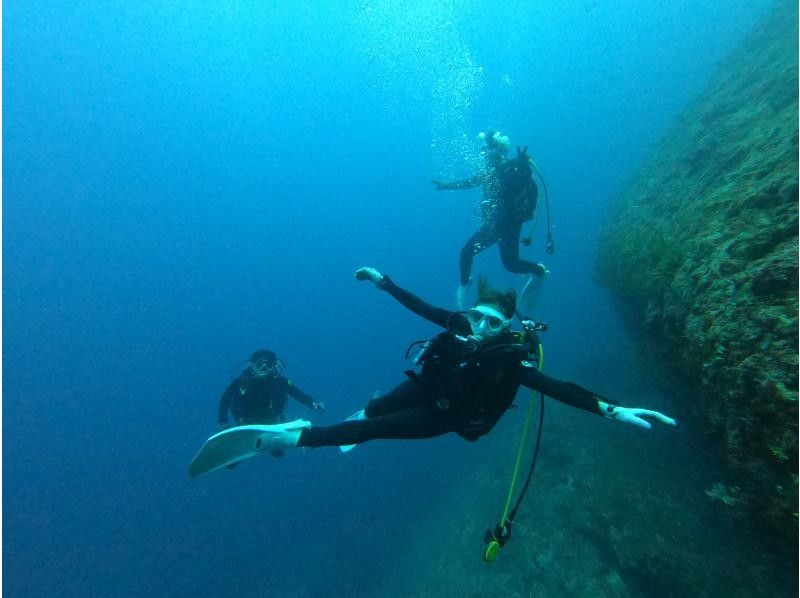 [恩纳村万座毛体验船潜2 From Dive]工作人员推荐的秘密地点✨放松和感动的潜水体验✨任意数量的照片和视频都是免费的の紹介画像
