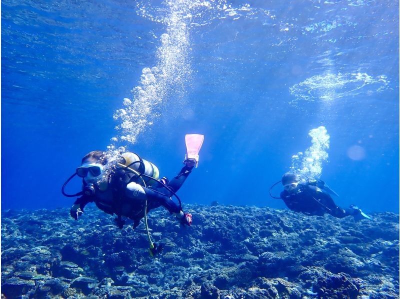 오키나와 본섬 온나손 만자 “체험” 보트 다이빙 2 다이브로부터｜추천의 숨은 명소 ✨ 느긋하게 감동의 다이빙 체험の紹介画像