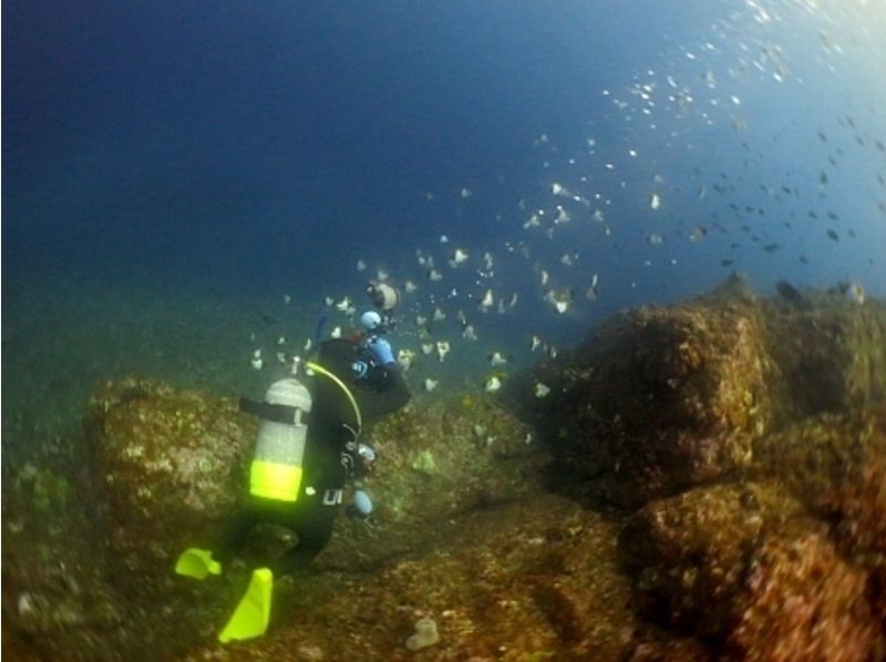 [Kagoshima ・ Amami】 For beginners! Experience Diving(half-day course)の紹介画像