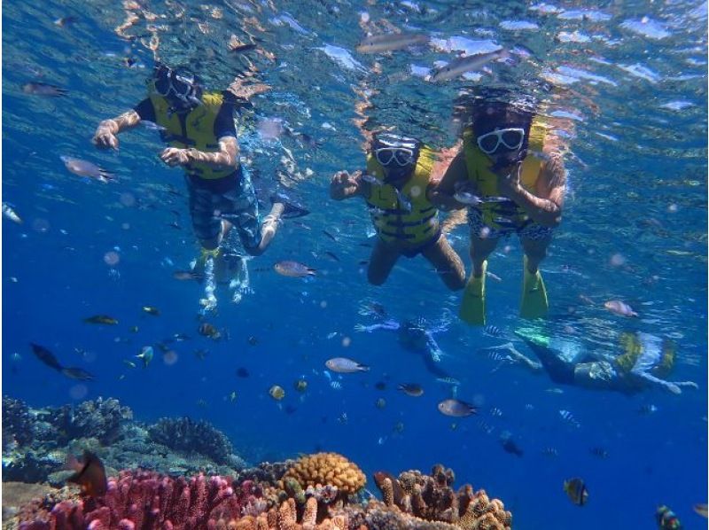 [Okinawa / Minna Island] Plan A ⭐︎ Minna Island Day Trip Sea Bathing & Snorkeling & Parasailing