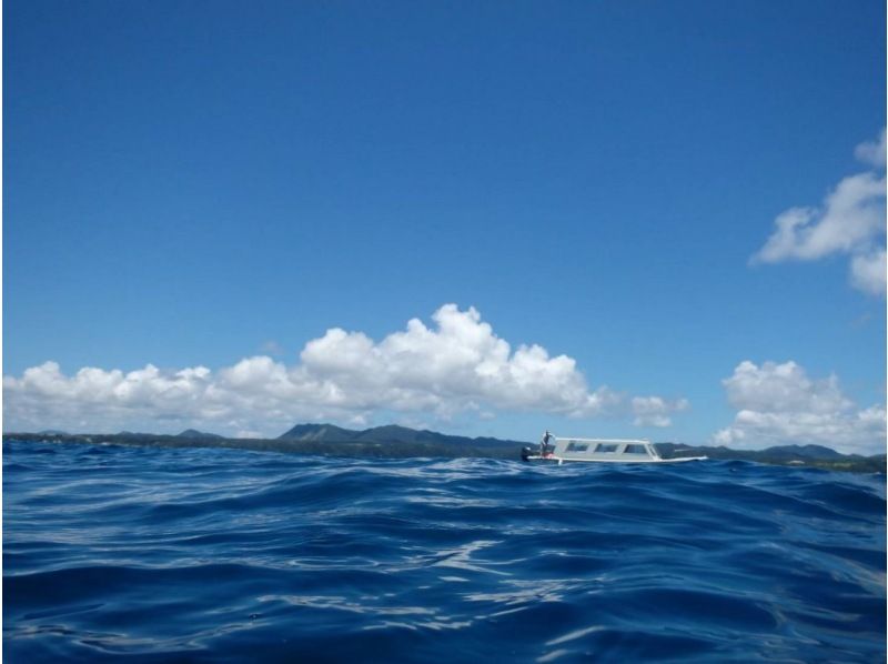 【오키나와・나고】바다를 체험! 오우라만 유리 보트! 세계 최대급의 아오산고를 보러 가자! 어린이부터 어른까지の紹介画像