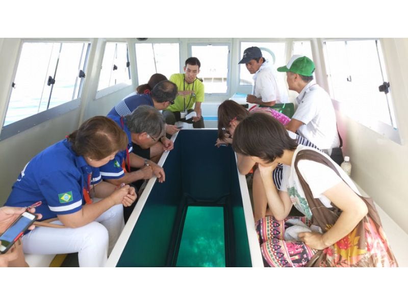 [Okinawa / Nago] Experience the sea! Oura Bay Glass Boat! Let's go see the world's largest blue coral! From children to adultsの紹介画像