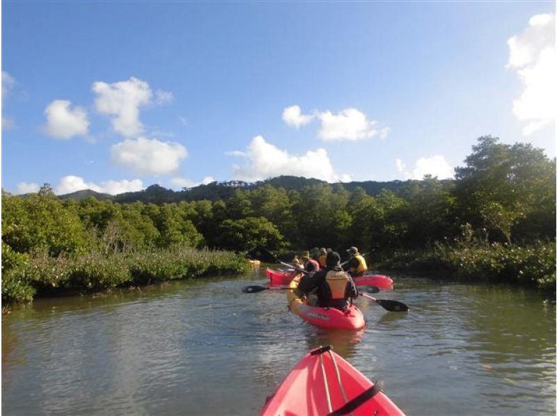 [冲绳/名护]体验河流！大浦红树林皮划艇！与自然融为一体的感觉！の紹介画像