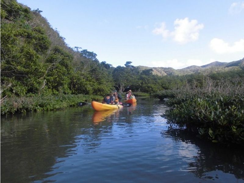 [沖繩/名護]體驗河流！大浦紅樹林皮划艇！與自然融為一體的感覺！の紹介画像