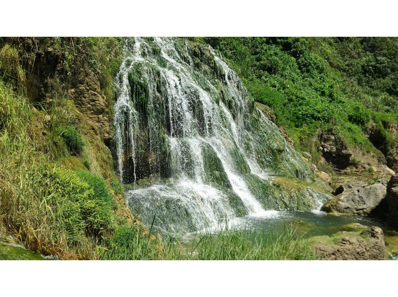 [Okinawa Yaese] A completely private trekking trip for one group only! Free equipment rental and photo gift! Conveniently located 30 minutes by car from Naha Airport!の紹介画像