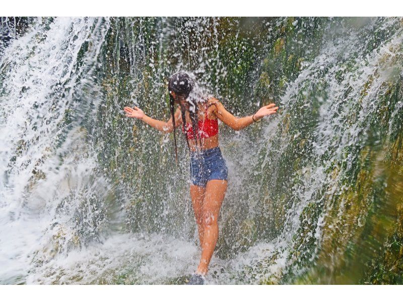 【沖縄・八重瀬】1組限定のガイド完全貸し切り☆トレッキングで滝を目指す！写真・動画全てプレゼント、器材レンタル無料！那覇から車で30分！の紹介画像