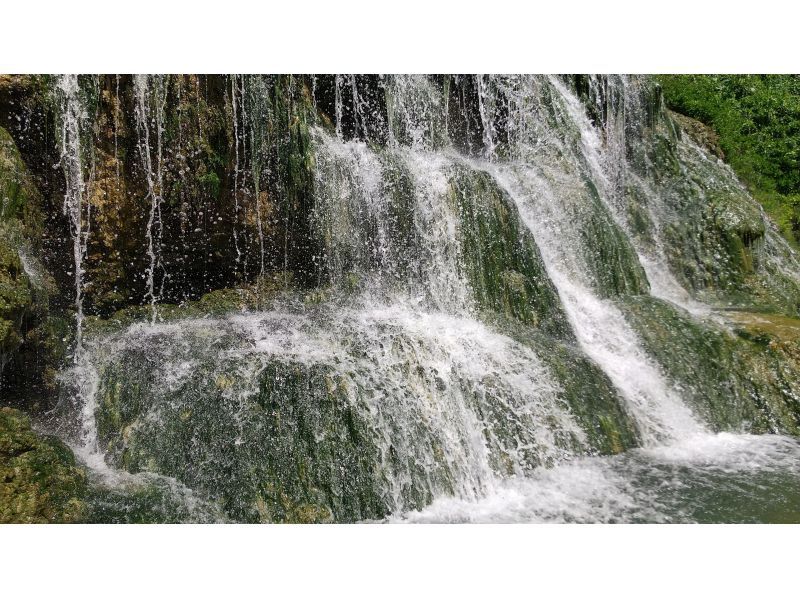 【沖縄・八重瀬】1組限定のガイド完全貸し切り☆トレッキングで滝を目指す！写真・動画全てプレゼント、器材レンタル無料！那覇から車で30分！の紹介画像