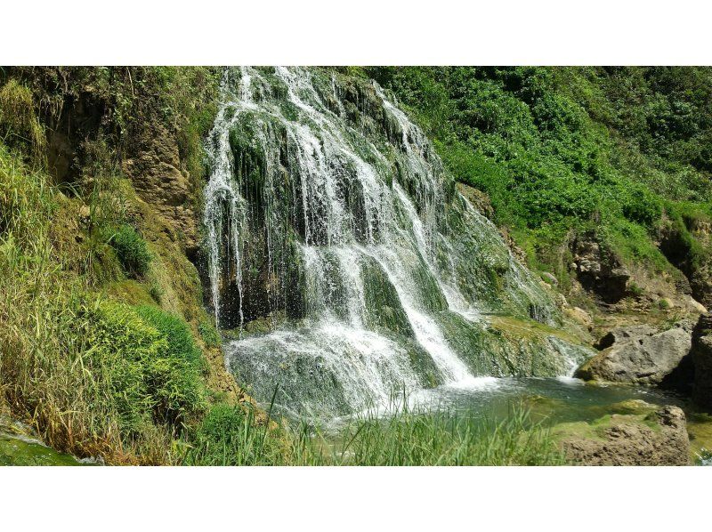 【沖縄・八重瀬】1組限定のガイド完全貸し切り☆トレッキングで滝を目指す！器材レンタル無料・写真プレゼント！那覇空港から車で30分の好立地！の紹介画像