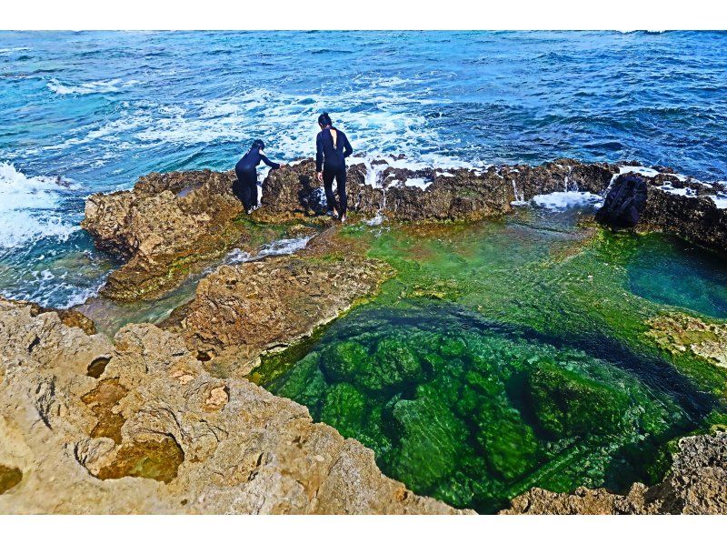 【沖縄・八重瀬】1組限定のガイド完全貸し切り☆トレッキングで滝を目指す！写真・動画全てプレゼント、器材レンタル無料！那覇から車で30分！の紹介画像