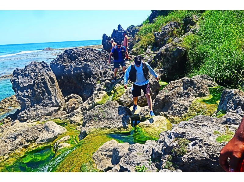 【沖縄・八重瀬】1組限定のガイド完全貸し切り☆トレッキングで滝を目指す！写真・動画全てプレゼント、器材レンタル無料！那覇から車で30分！の紹介画像