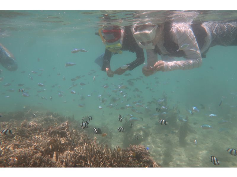 [Okinawa Oujima] "Only one group" Complete charter system ☆ Happy private tour! Snorkel experience on a remote island that can be reached by car! High-definition camera photo present!の紹介画像