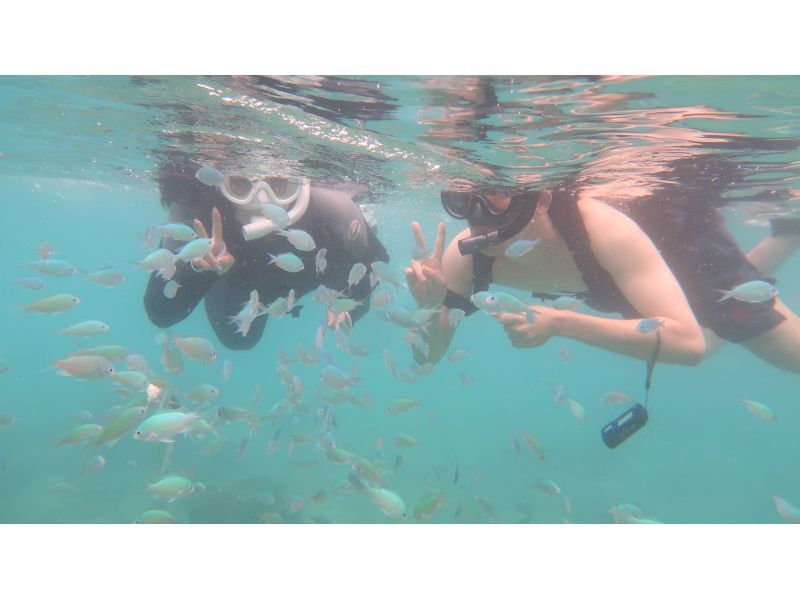 [Okinawa Oujima] "Only one group" Complete charter system ☆ Happy private tour! Snorkel experience on a remote island that can be reached by car! High-definition camera photo present!の紹介画像