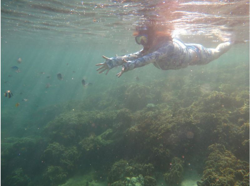 [Okinawa Oujima] "Only one group" Complete charter system ☆ Happy private tour! Snorkel experience on a remote island that can be reached by car! High-definition camera photo present!の紹介画像