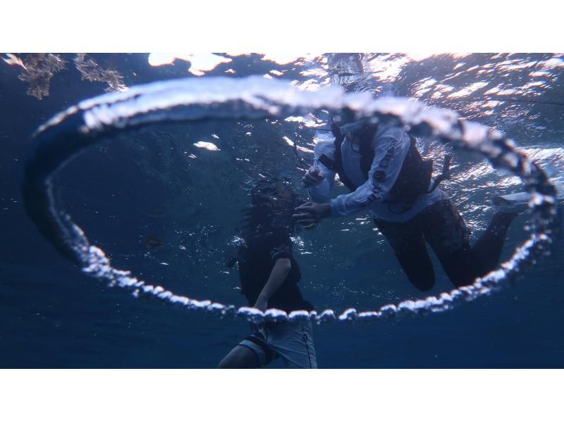 [Okinawa Oujima] "Only one group" Complete charter system ☆ Happy private tour! Snorkel experience on a remote island that can be reached by car! High-definition camera photo present!の紹介画像