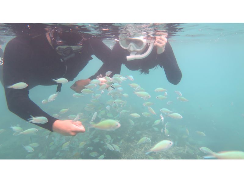 [Okinawa Oujima] "Only one group" Complete charter system ☆ Happy private tour! Snorkel experience on a remote island that can be reached by car! High-definition camera photo present!の紹介画像