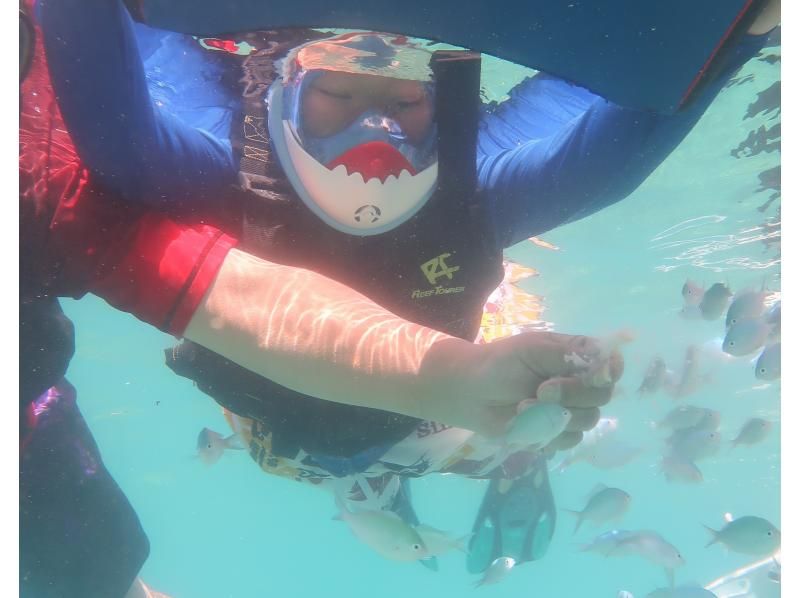 [Okinawa, Ojima] "Only one group" guide, fully reserved ☆ Happy private tour! Snorkeling experience on a remote island that can be reached by car! High-quality camera photos as a gift!の紹介画像
