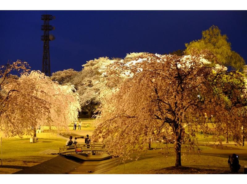 【栃木・矢板】期間限定‼　夜桜ライトアップ・ポタリングの紹介画像