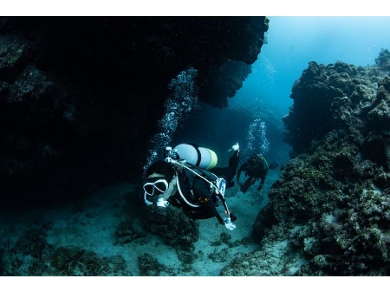 【鹿児島・奄美大島】穏やかな大島海峡の海で体験ダイビング！初心者歓迎！の紹介画像