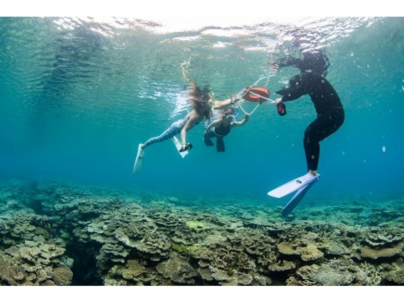 【鹿児島・奄美大島】サンゴやカラフルな魚を見られるシュノーケリング体験の紹介画像